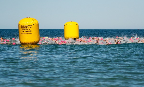 2019 MSA National Championships 2019 Masters Swimming Australia National Championships, 2019 MSA National Championships, www.swim.by, Masters Swimming Australia, Masters Swimming Australia Championships, Australian Masters Swimming Championships, Swim.by