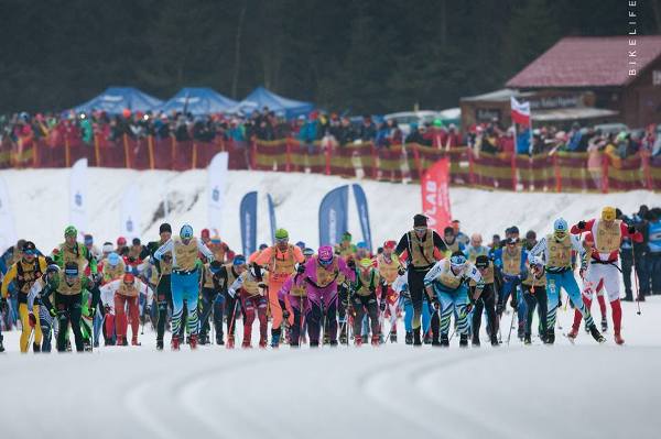 Bieg Piastów Skiing Marathon 2019 - 50 km Bieg Piastów Skiing Marathon 2019, Bieg Piastow Ski Foto, www.swim.by, Bieg Piastów Photo, Bieg Piastow 2019 Photo, Swim.by
