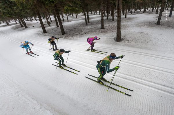 Bieg Piastów Skiing Marathon 2019 - 50 km Bieg Piastów Skiing Marathon 2019, Bieg Piastow Ski Foto, www.swim.by, Bieg Piastów Photo, Bieg Piastow 2019 Photo, Swim.by