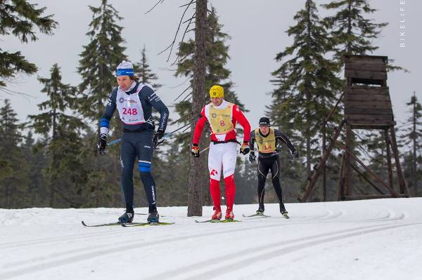 Bieg Piastów Skiing Marathon 2019 - 50 km Bieg Piastów Skiing Marathon 2019, Bieg Piastow Ski Foto, www.swim.by, Bieg Piastów Photo, Bieg Piastow 2019 Photo, Swim.by