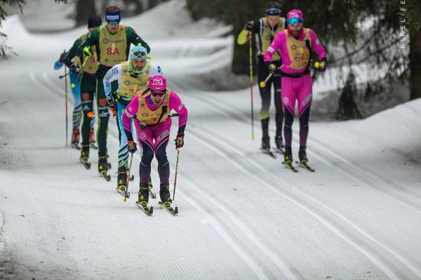 Bieg Piastów Skiing Marathon 2019 - 50 km Bieg Piastów Skiing Marathon 2019, Bieg Piastow Ski Foto, www.swim.by, Bieg Piastów Photo, Bieg Piastow 2019 Photo, Swim.by