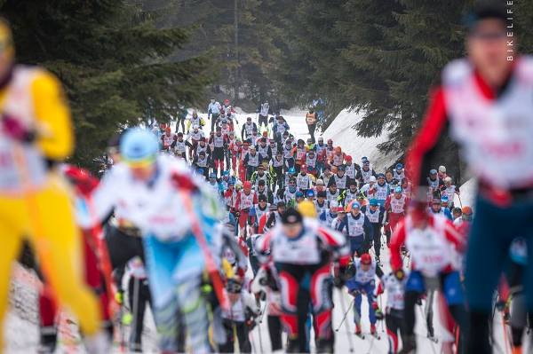 Bieg Piastów Skiing Marathon 2019 - 50 km Bieg Piastów Skiing Marathon 2019, Bieg Piastow Ski Foto, www.swim.by, Bieg Piastów Photo, Bieg Piastow 2019 Photo, Swim.by