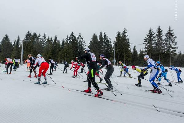 Bieg Piastów Skiing Marathon 2019 - 50 km Bieg Piastów Skiing Marathon 2019, Bieg Piastow Ski Foto, www.swim.by, Bieg Piastów Photo, Bieg Piastow 2019 Photo, Swim.by