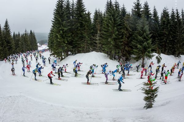 Bieg Piastów Skiing Marathon 2019 - 50 km Bieg Piastów Skiing Marathon 2019, Bieg Piastow Ski Foto, www.swim.by, Bieg Piastów Photo, Bieg Piastow 2019 Photo, Swim.by