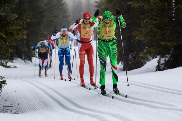 Bieg Piastów Skiing Marathon 2019 - 50 km Bieg Piastów Skiing Marathon 2019, Bieg Piastow Ski Foto, www.swim.by, Bieg Piastów Photo, Bieg Piastow 2019 Photo, Swim.by