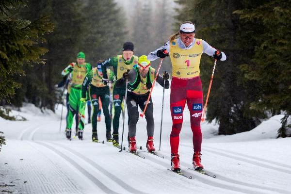 Bieg Piastów Skiing Marathon 2019 - 50 km Bieg Piastów Skiing Marathon 2019, Bieg Piastow Ski Foto, www.swim.by, Bieg Piastów Photo, Bieg Piastow 2019 Photo, Swim.by