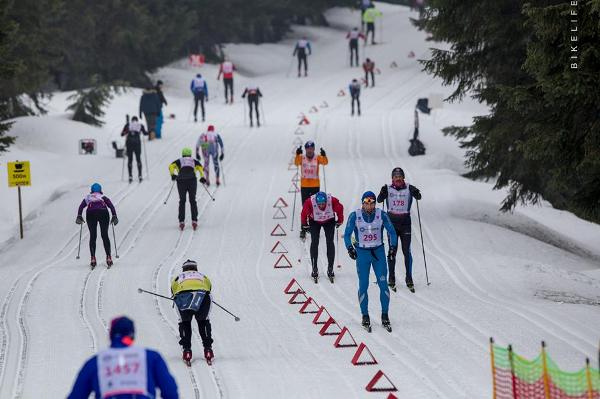 Bieg Piastów Skiing Marathon 2019 - 50 km Bieg Piastów Skiing Marathon 2019, Bieg Piastow Ski Foto, www.swim.by, Bieg Piastów Photo, Bieg Piastow 2019 Photo, Swim.by
