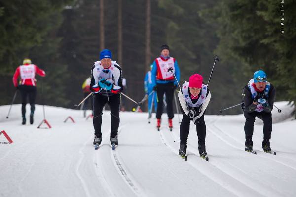Bieg Piastów Skiing Marathon 2019 - 50 km Bieg Piastów Skiing Marathon 2019, Bieg Piastow Ski Foto, www.swim.by, Bieg Piastów Photo, Bieg Piastow 2019 Photo, Swim.by