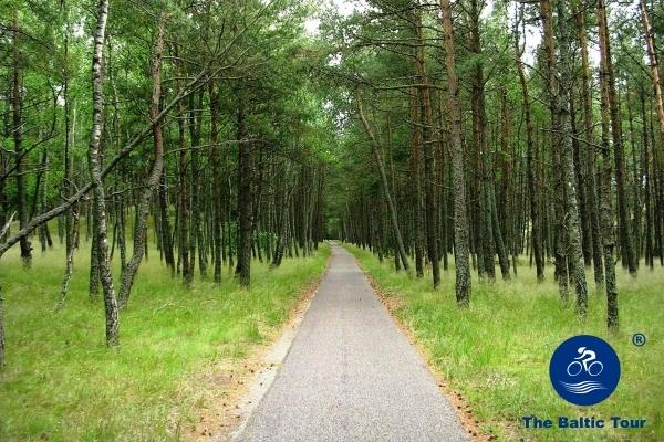 Andrzej Waszkewicz | The Baltic Tour The Baltic Tour, cycling tour