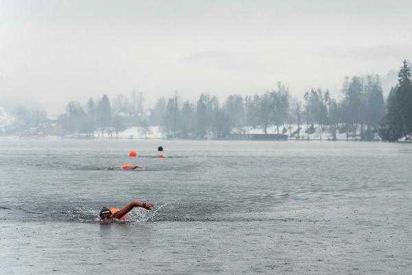 Winter Swimming World Cup 2019, Winter Swimming World Cup Bled 2019, www.swim.by, Winter Swimming World Cup Slovenia 2019, Кубок Мира по Зимнему Плаванию, Winter Swimming World Cup Photo, Swim.by