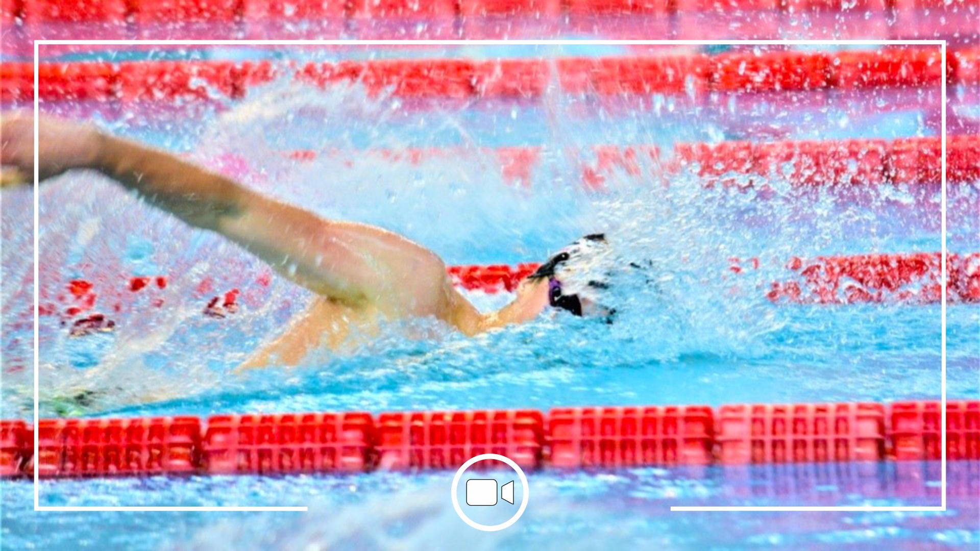 Belarus Masters Swimming Championships 2025, Belarusian Swimming Championships 2025, Swimming championships in Brest, Masters Swimming Belarus, Masters swimming competitions in Belarus, Swim.by