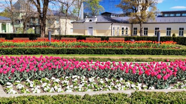 Druskininkų kurorto šventė, Visit Druskininkai, https://swim.by, Druskininkų SPA kurortas, Andrzej Waszkewicz Druskininkų kurorto šventė