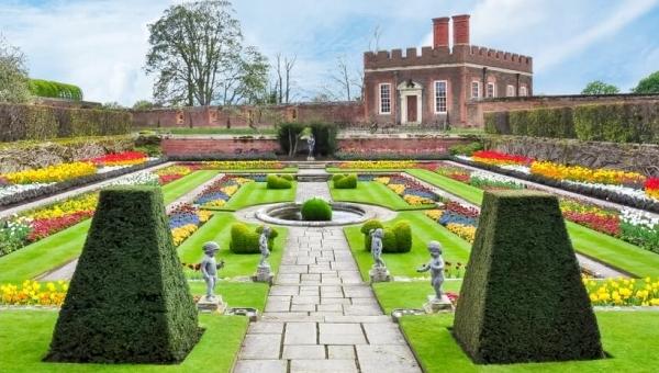 Hampton Court Palace Tulip Festival, https://swim.by, Tulip Festival Hampton Court Palace, Andrzej Waszkewicz Tulip Festival Videos, Andrzej Waszkewicz Filmmaking