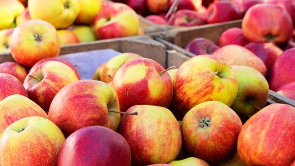 Komarovka Market in Minsk, https://swim.by, Komarovsky Market in Minsk, Andrzej Waszkewicz Youtube Channel, Komarovka Market Videos