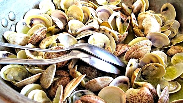 La mejor comida callejera en Torrevieja, Comida callejera en Torrevieja, Comida callejera España, https://swim.by, La mejor comida callejera en España, Comida callejera en Torrevieja Videos, Andrzej Waszkewicz Filmmaking, Los mejores restaurantes en Torrevieja Videos