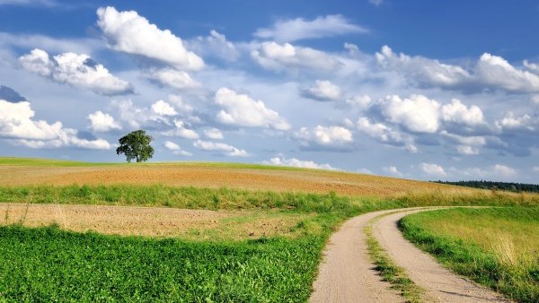 Sudovia Gravel 2022, https://swim.by, 2022 Sudovia Gravel Race, Andrzej Waszkewicz Sudovia Gravel