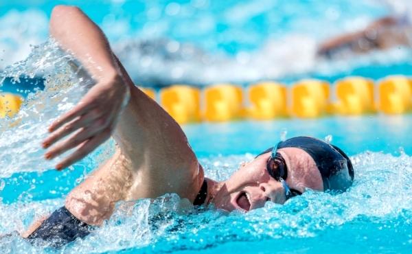 Swim Open Stockholm, Swimming competitions in Sweden, Swedish Swimming Federation, https://swim.by, Swim Open Stockholm News, Swimming competition in Stockholm, Swim Open Stockholm Videos, Andrzej Waszkewicz SWIM OPEN STOCKHOLM